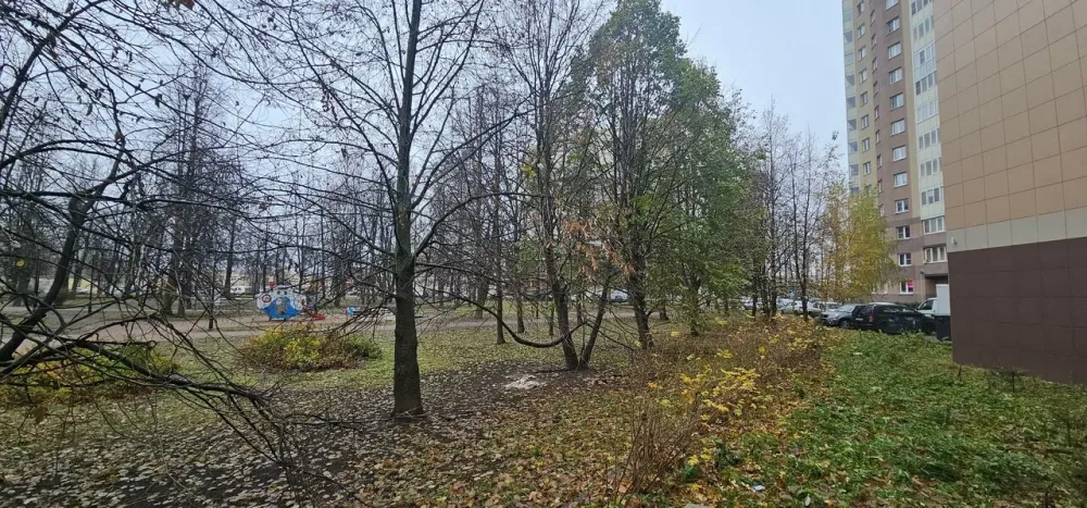 в Санкт-Петербурге Санкт-Петербург - изображение 8