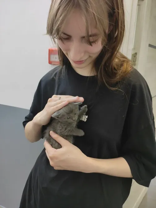 в Санкт-Петербурге Санкт-Петербург - изображение 13