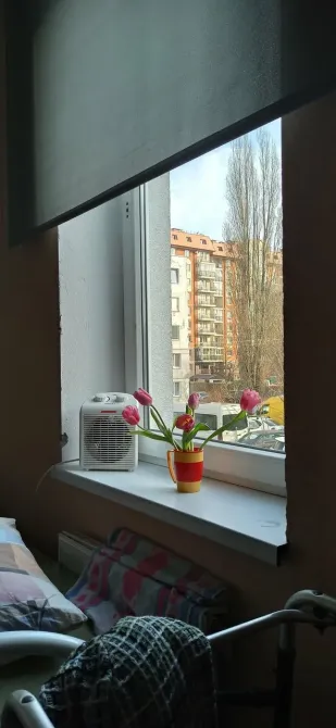 в Калининграде Калининград - изображение 20