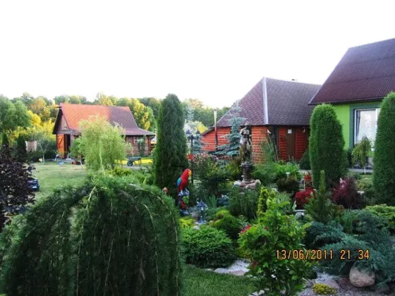 в Орловке Орловка