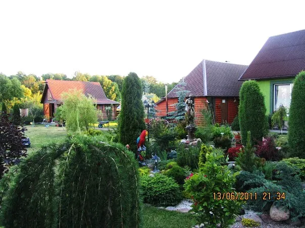 в Орловке Орловка - изображение 3