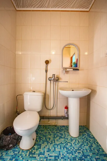 в Орловке Орловка - изображение 16