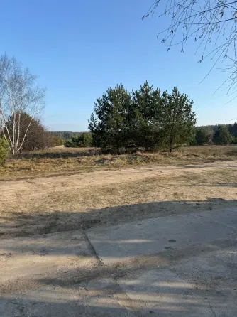 в Ижевском Ижевское