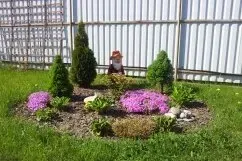 в Калининграде Калининград - изображение 14