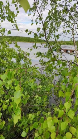 Семейные традиции Нахабино