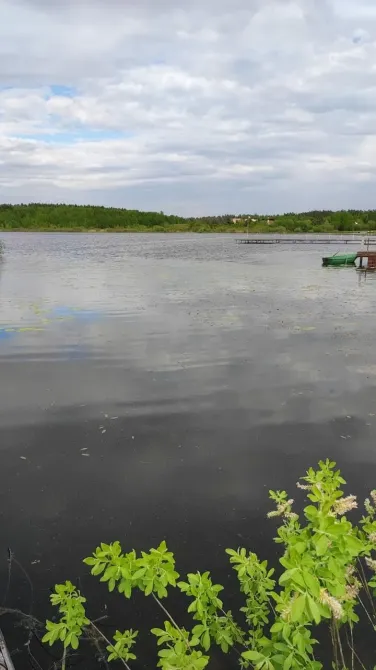 Семейные традиции Нахабино - изображение 4