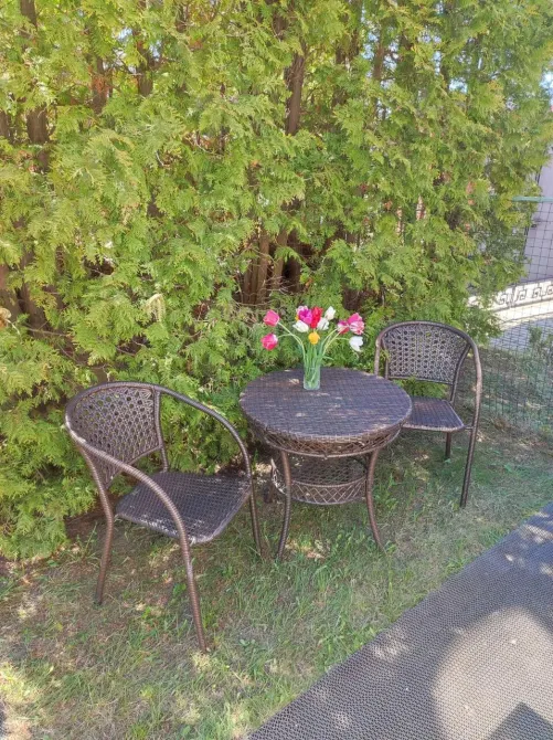 Семейные традиции Нахабино - изображение 7