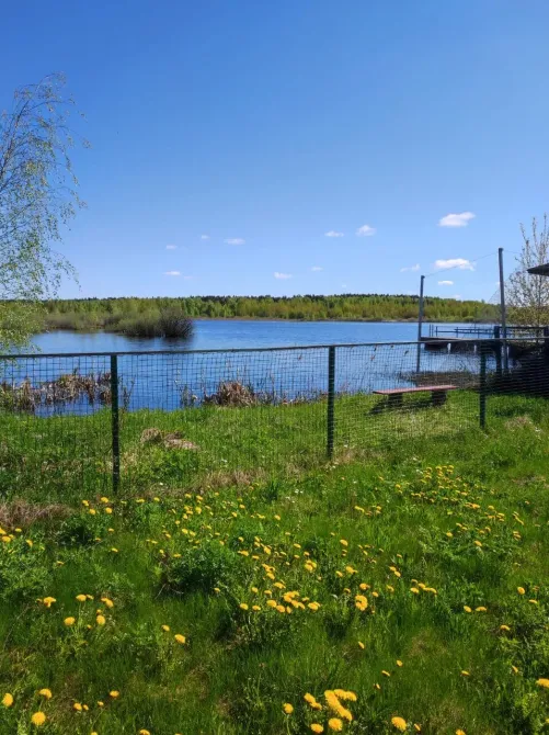 Семейные традиции Нахабино - изображение 13