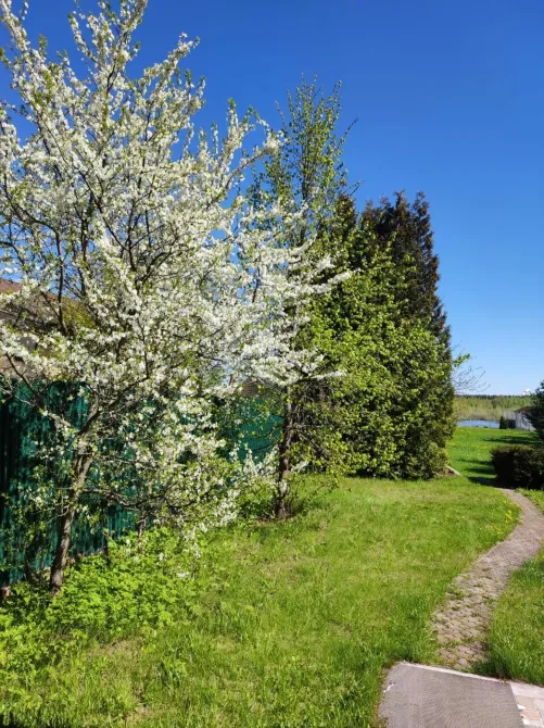 Семейные традиции Нахабино - изображение 15