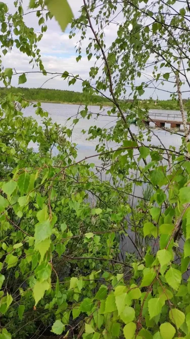 Семейные традиции Нахабино - изображение 6