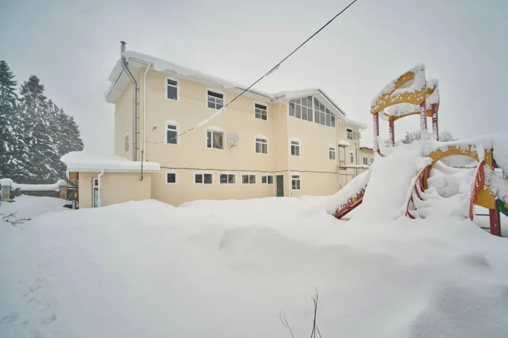 Усадьба Сосново - изображение 1