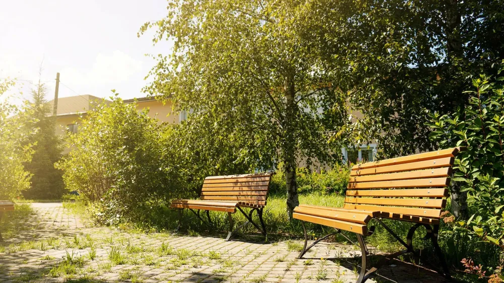 Пансионат Вита Всеволожск - изображение 18