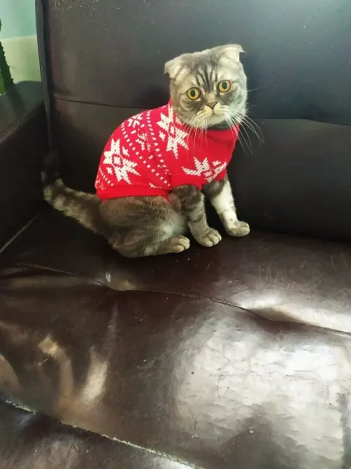 Евгения Шлиссельбург - изображение 12