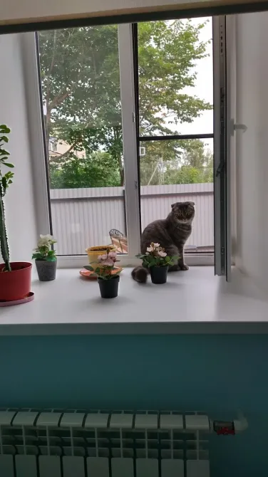 Евгения Шлиссельбург - изображение 5