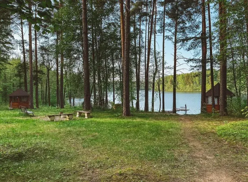 Эпоха Сосново - изображение 11