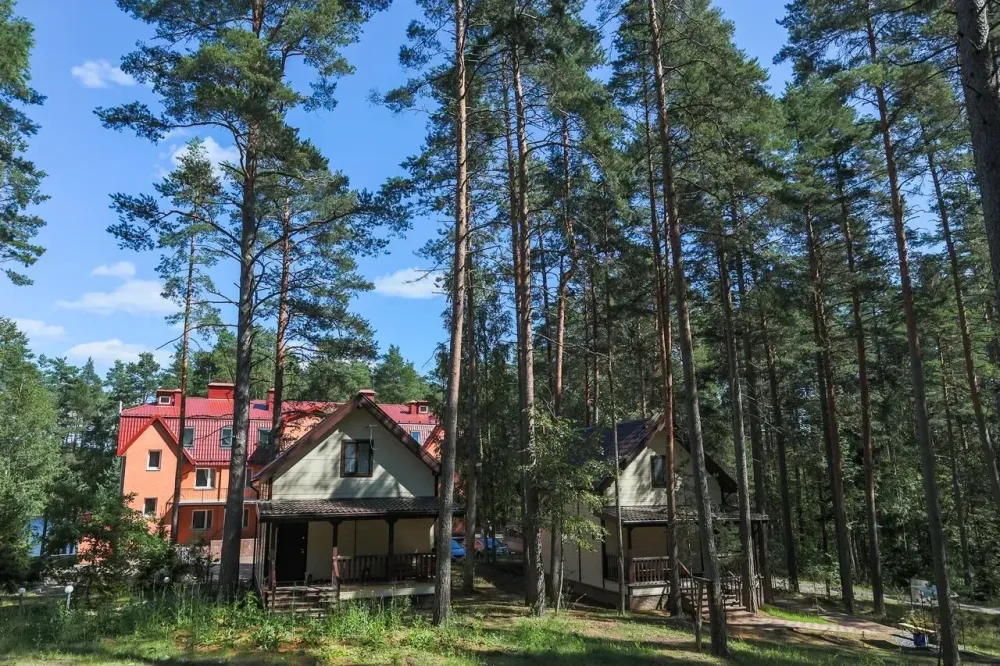 Эпоха Сосново - изображение 2