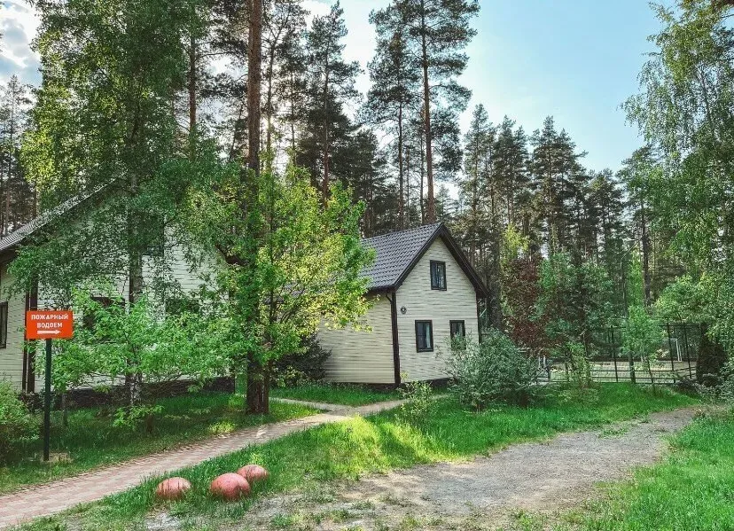 Эпоха Сосново - изображение 13