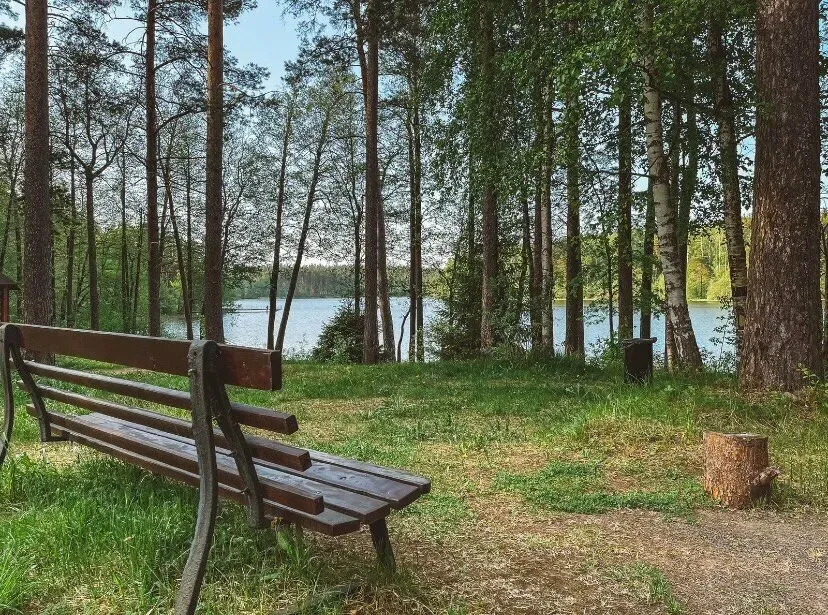 Эпоха Сосново - изображение 12