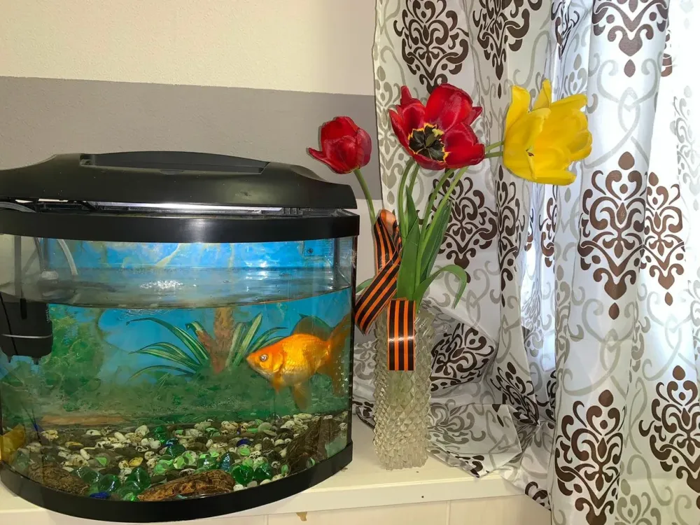 Милый дом Нижний Тагил - изображение 13