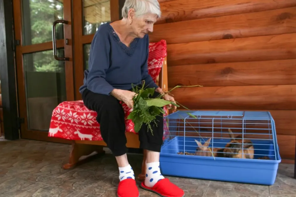 Новая Гармония Екатеринбург - изображение 12