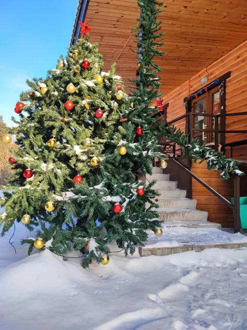 Новая Гармония Екатеринбург - изображение 19