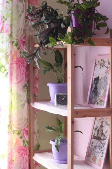 Гармония Екатеринбург - изображение 7