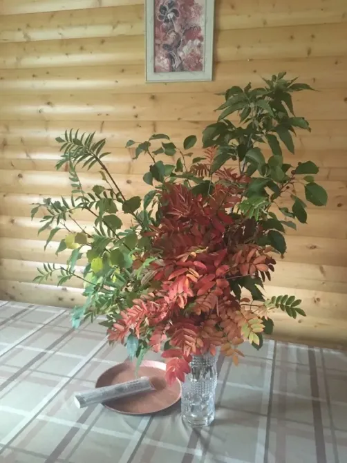 Забота-Урал Екатеринбург - изображение 15