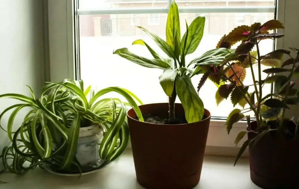 Забота-Урал Екатеринбург - изображение 10