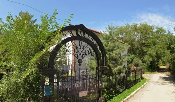 Благо Хабаровск