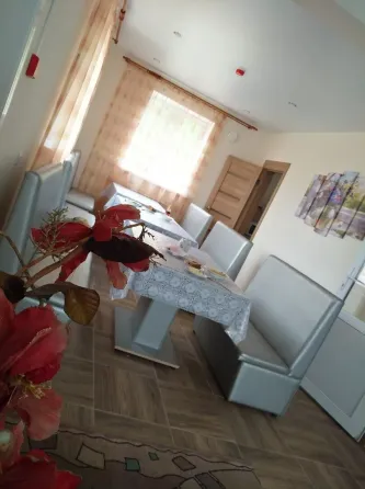 Сосновый бор Иркутск