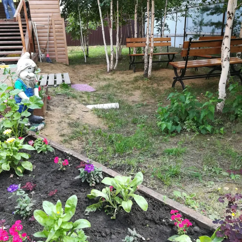 Сосновый бор Иркутск - изображение 11