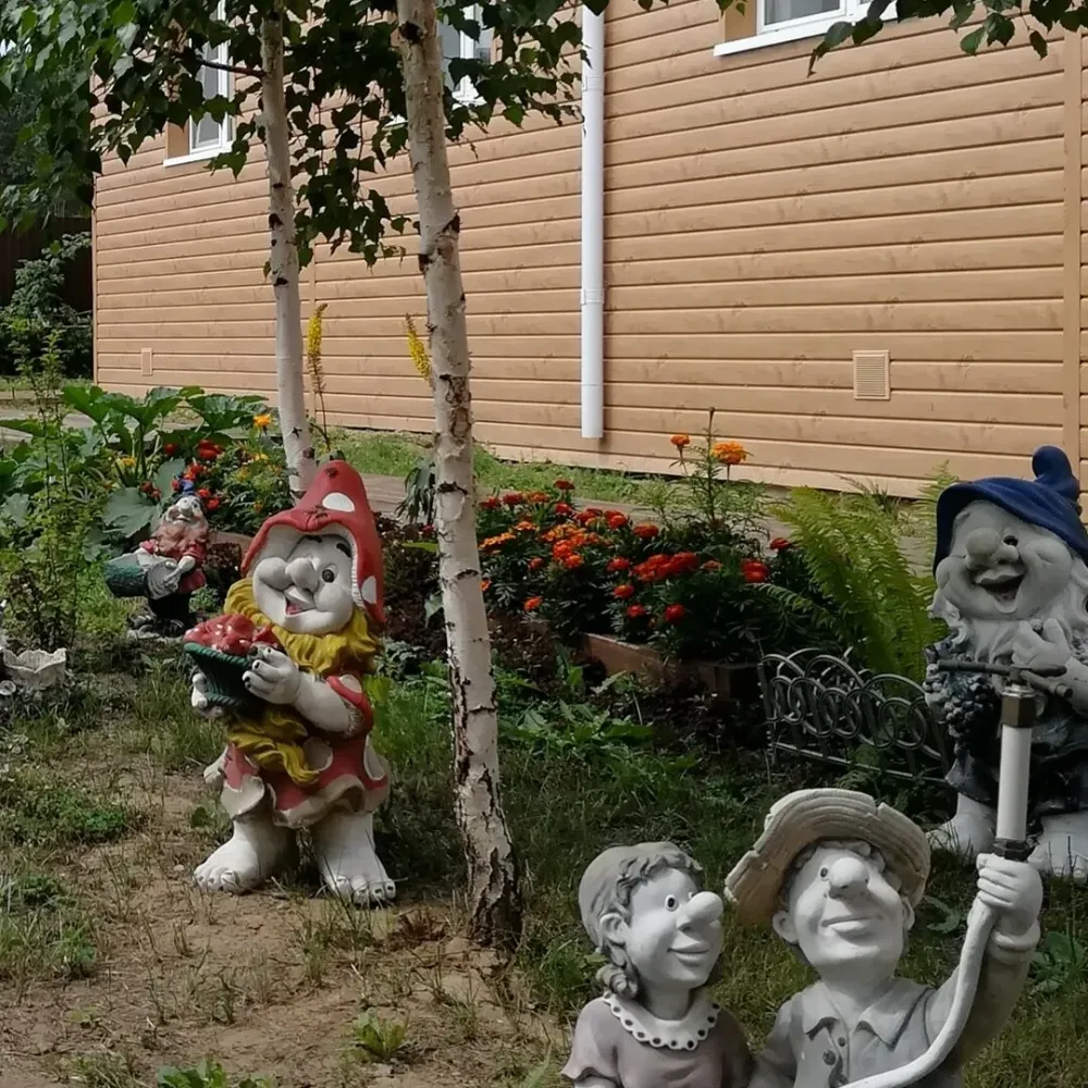 Сосновый бор Иркутск - изображение 9