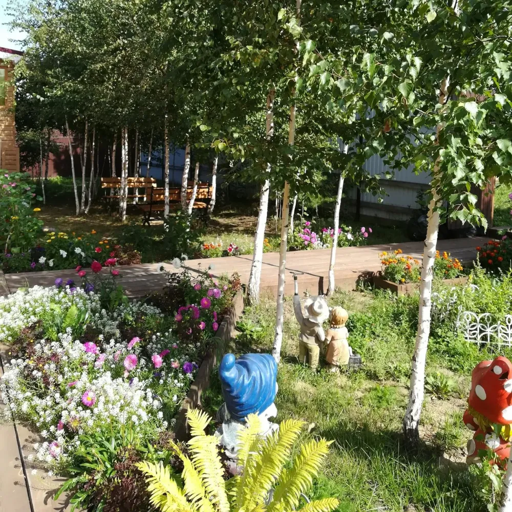 Сосновый бор Иркутск - изображение 10