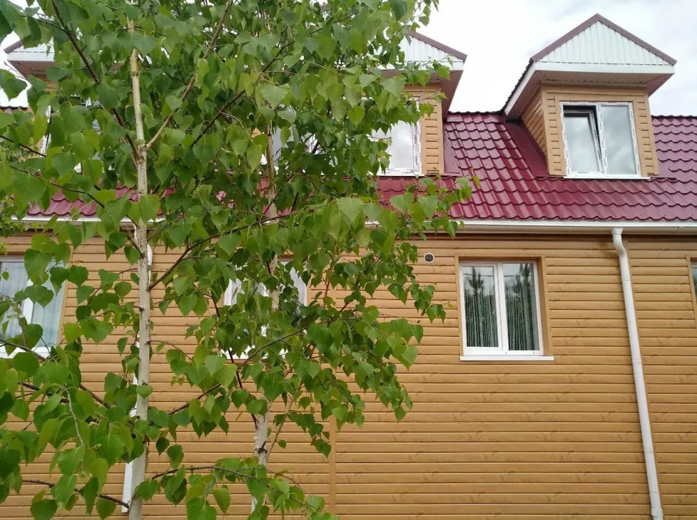 Сосновый бор Иркутск - изображение 1