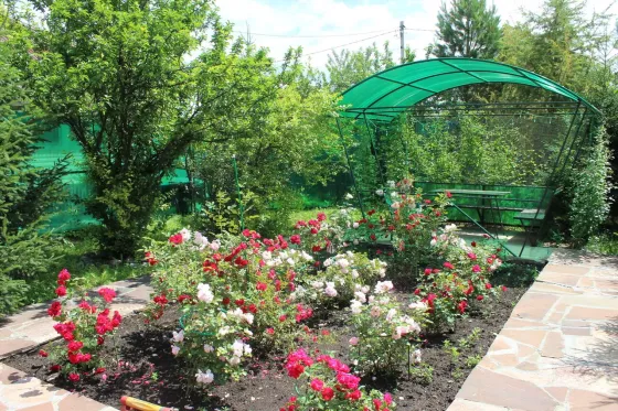 Движение Шелехов