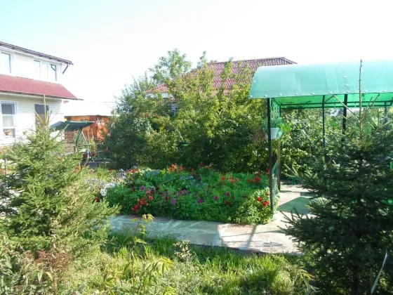 Движение Шелехов