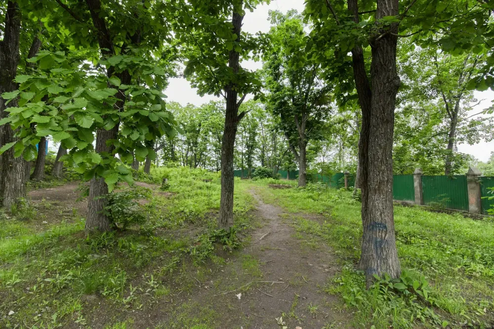 Мирра Трудовое - изображение 12