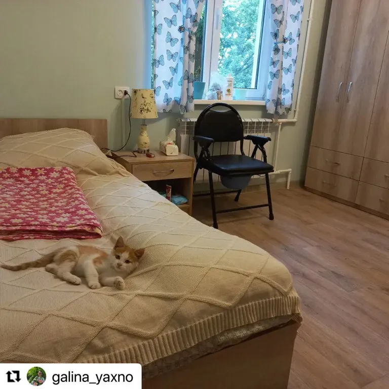 Мирра Трудовое - изображение 4