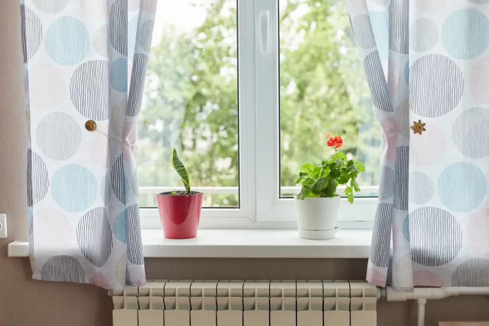 Мирра Трудовое - изображение 18