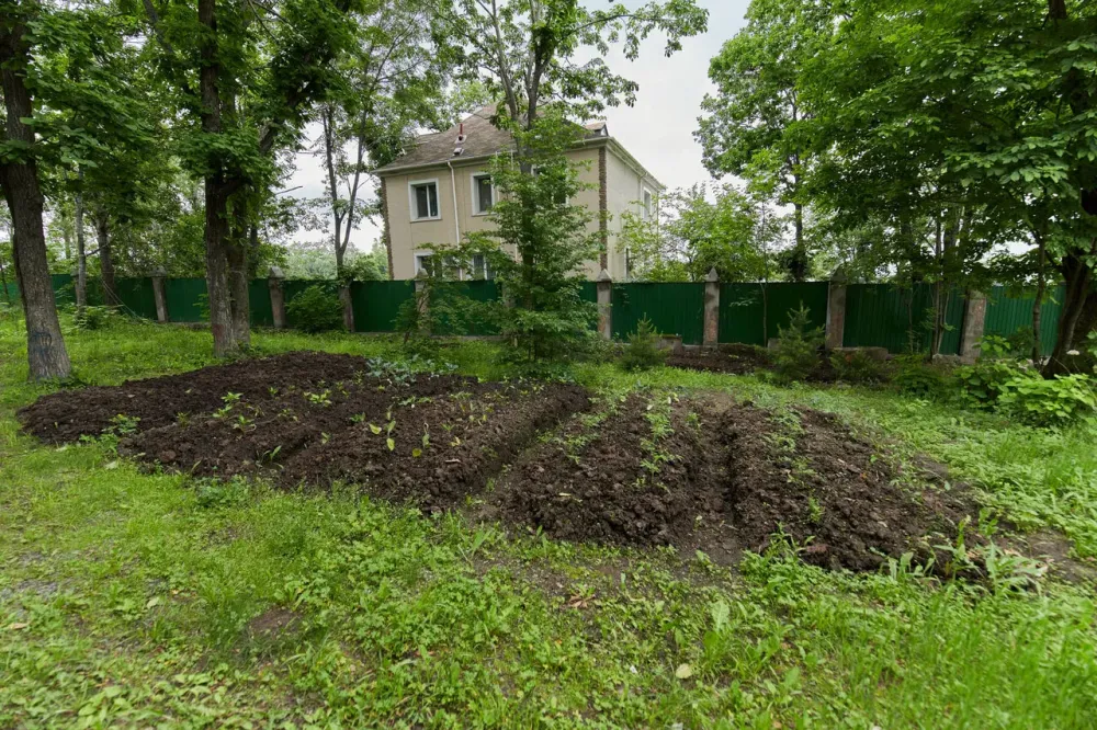 Мирра Трудовое - изображение 11