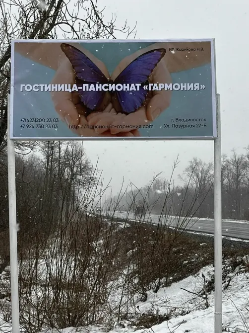 Гармония Владивосток - изображение 2