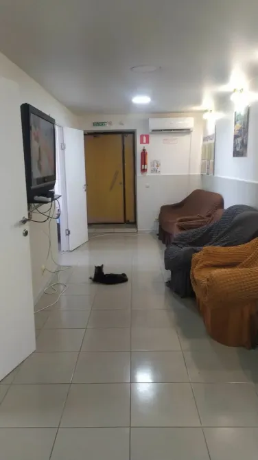 Гармония Владивосток - изображение 15