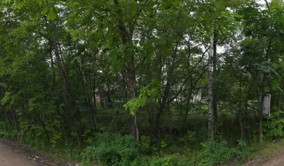 Старость в радость Матвеевка