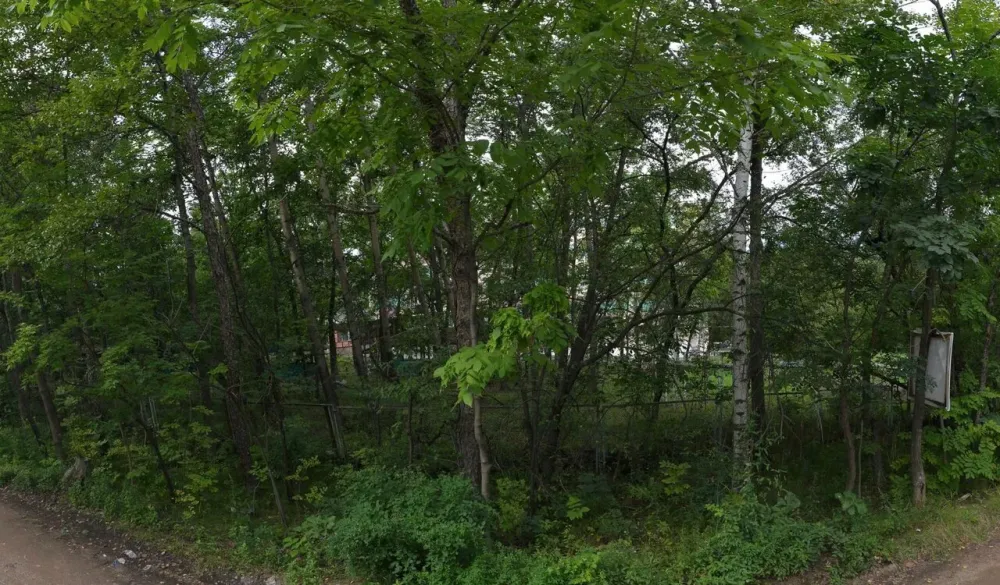 Старость в радость Матвеевка - изображение 6