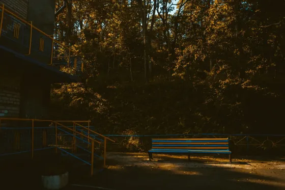 Наши гости Трудовое