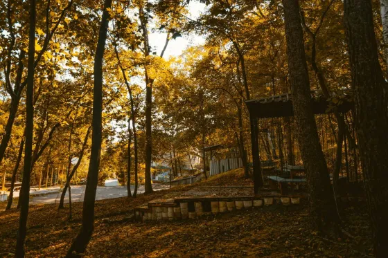 Наши гости Трудовое