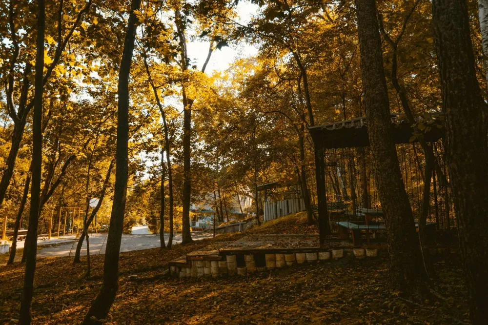 Наши гости Трудовое - изображение 2