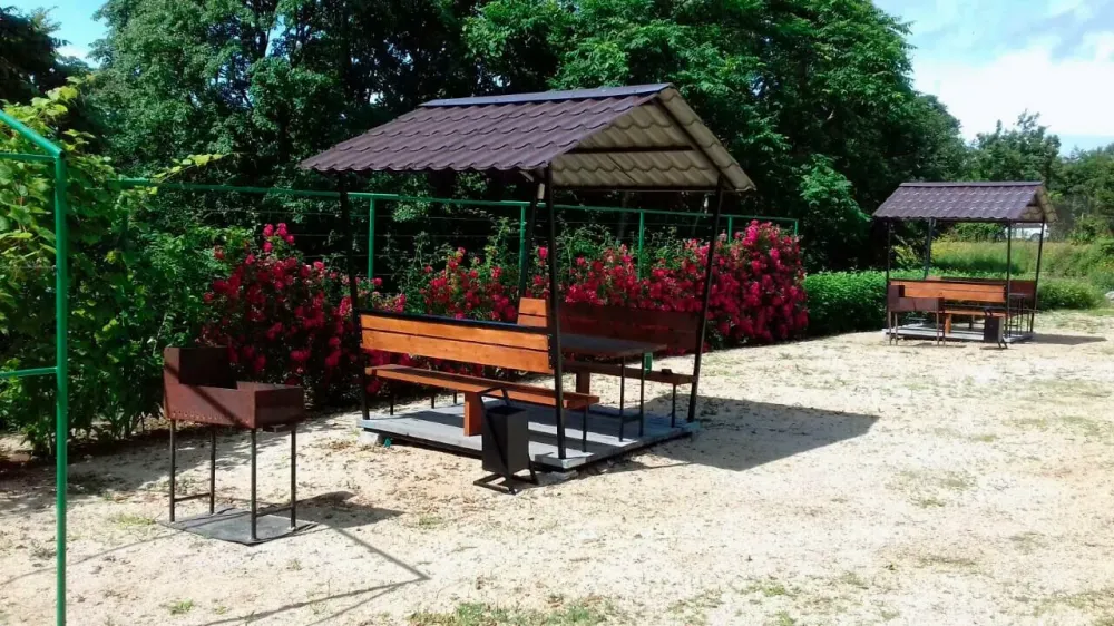 Жемчужное Солнышко Трудовое - изображение 11