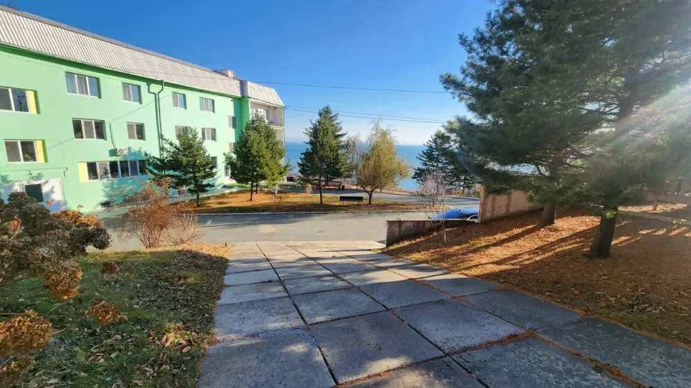 Жемчужное Солнышко Трудовое - изображение 16