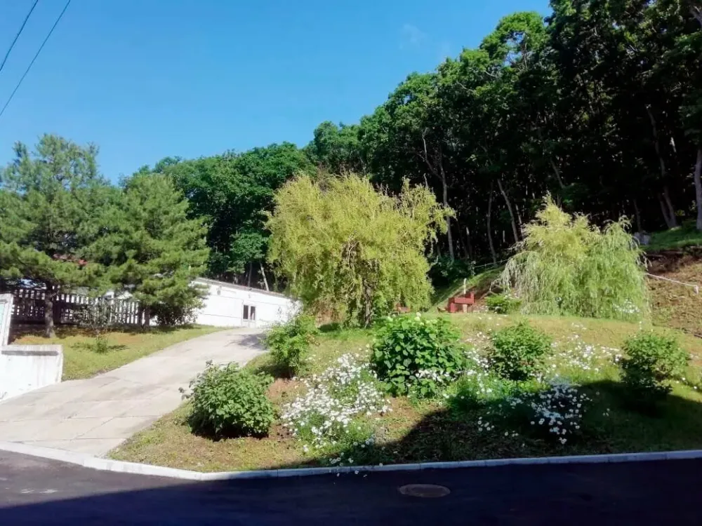 Жемчужное Солнышко Трудовое - изображение 12